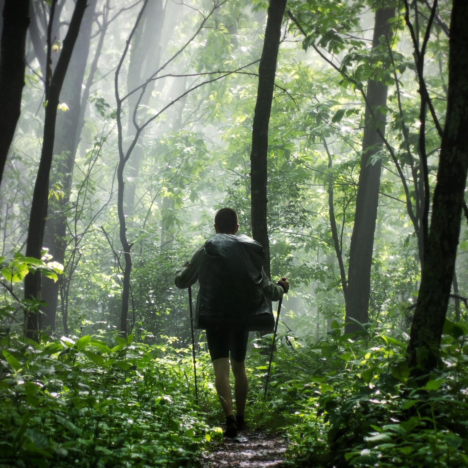 Hiking