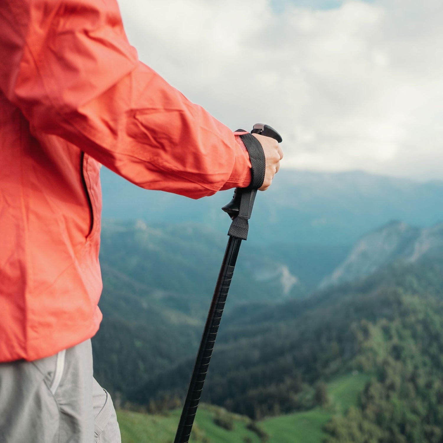 Trekking Poles